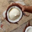 Mộng dừa (mầm dừa) ngọt, an toàn